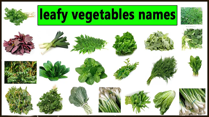 List of Edible leaves names with pictures . Types of greens to cook. Types of Leafy greens. Kale, - DayDayNews