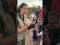 This Lizard Shoots Blood From Its Eyes 😱