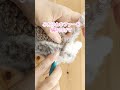 どっちも可愛いリバーシブルイヤーマフ