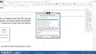 El text dels comentaris surt molt petit, com ho puc solucionar? screenshot 4