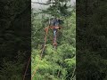 Zip Line course in Skagway, Alaska.