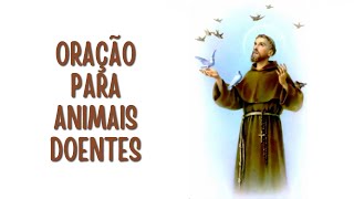 PODEROSA Oração Para Animais Doentes - São Francisco de Assis