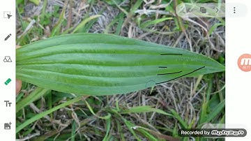 ClassVI Science 07 05 2020 by Ms Mridulata Upadhyay