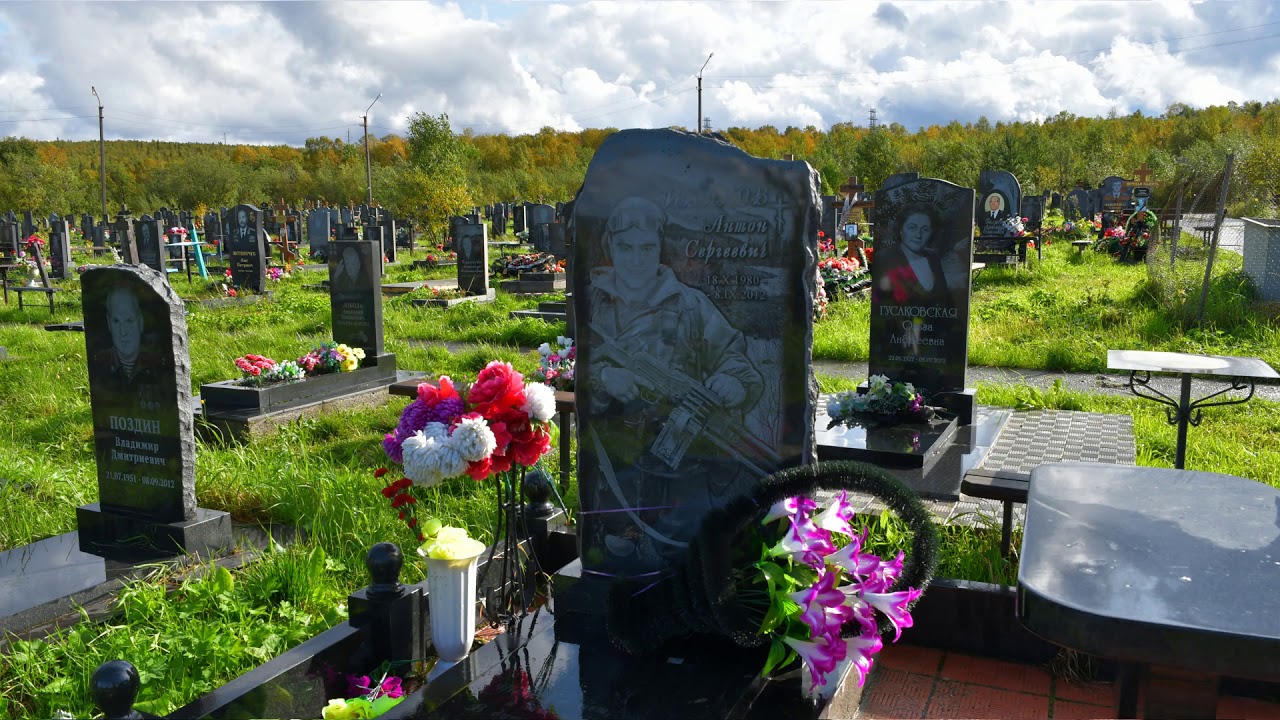 A Bear Came To A Man’s grave And Roared Loudly. The Reason Why Scared The World