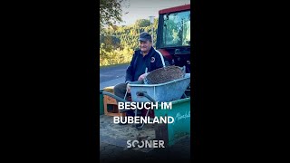 BESUCH IM BUBENLAND – Katrin Schlössers ehrlicher Blick ins Südburgenland