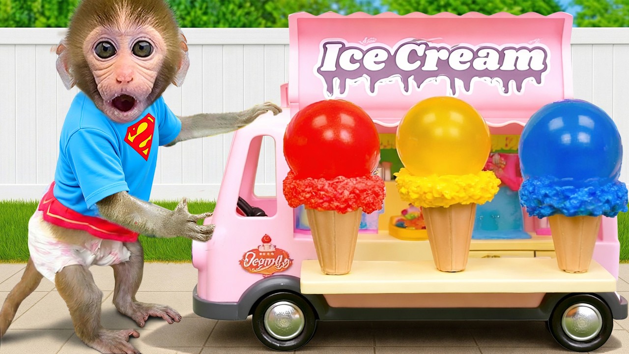 Monyet Bon Bon Imut makan es krim pelangi yang dibeli dari truk es krim di peternakan