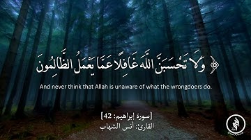 تلاوة هادئة - سورة إبراهيم - آية (42) - للقارئ الصغير: أنس الشهاب
