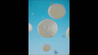 Onemix Chaussures De Course Décontractées Respirant Été Chaussures De