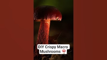 Crispy Macro Mushroom Tutorial - Macro Photography DIY