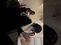 المعمودية الأرثوذكسية السليمة الولادة من الماء والروح للسيدة جورجيا