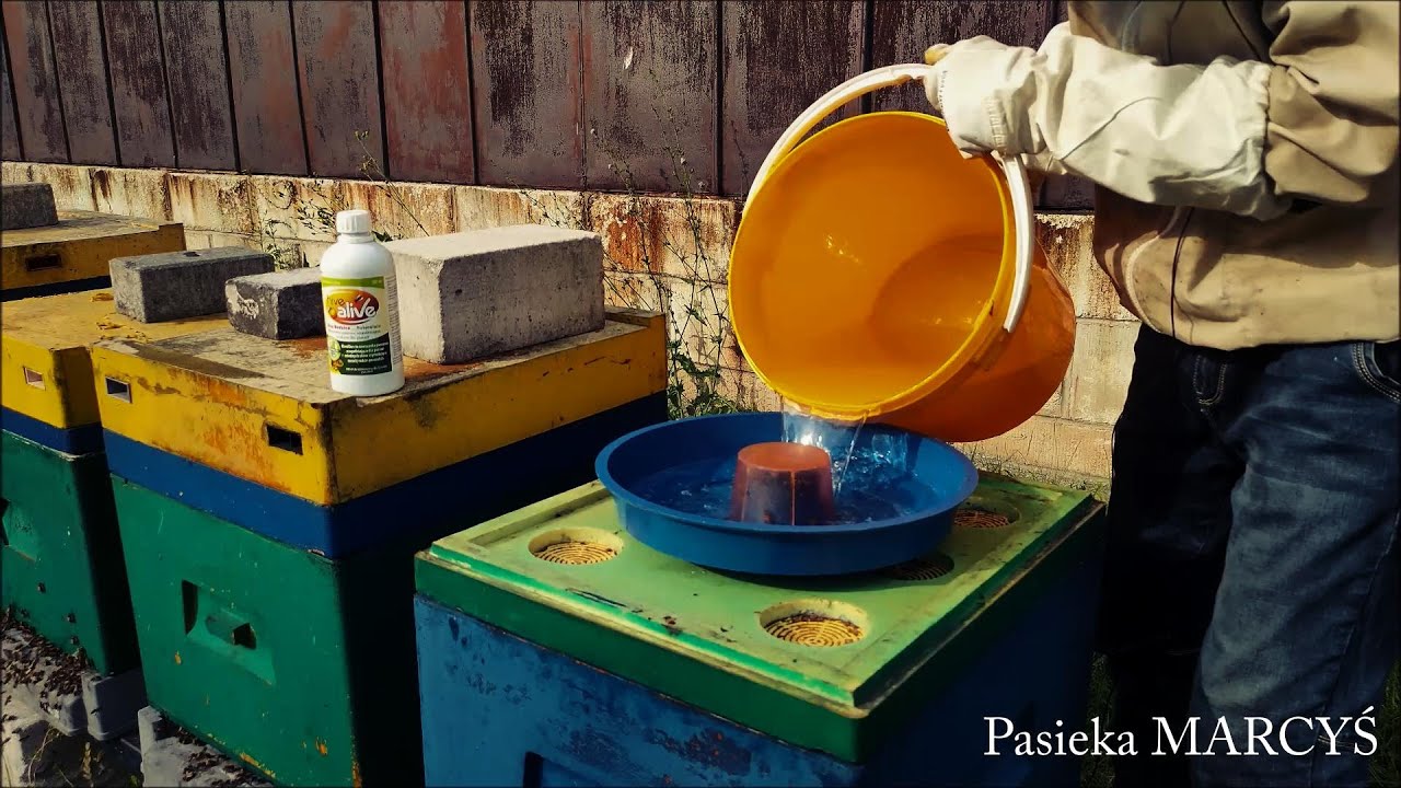 Jak podkarmiać pszczoły w lipcu? Wstępna korekta gniazd oraz zwalczanie warrozy. Projekt Gertruda 10