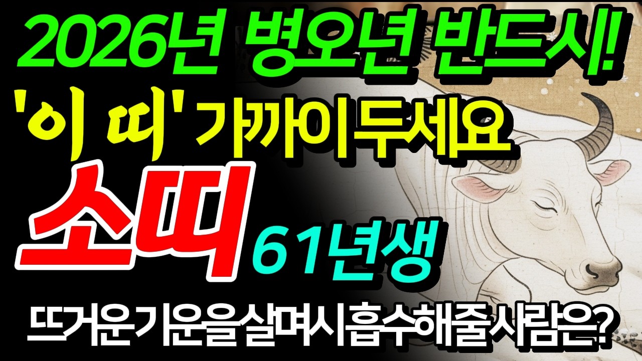 (충격 반전) 61년 소띠 2026년 '이 띠'를 놓치면 안되는 이유 신축생 찬란한 전성기를 열어줄 세 가지 귀인의 정체