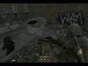 Call of Duty 4 Funny Shooting Bug