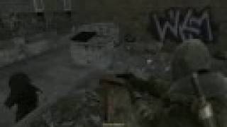Call of Duty 4 Funny Shooting Bug