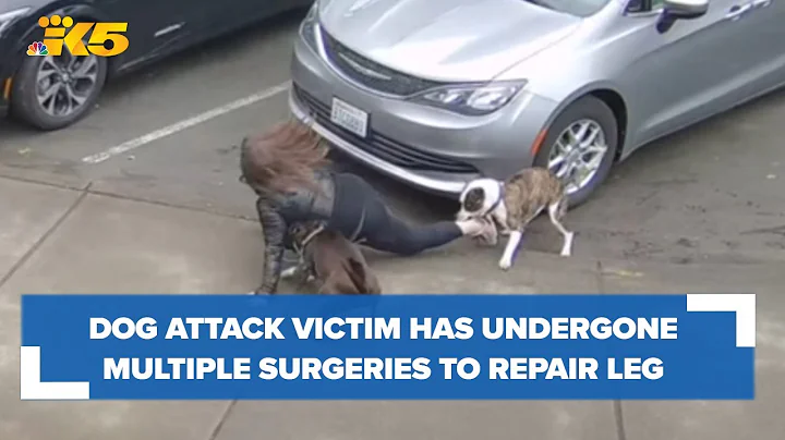 Seattle dog attack victim has undergone multiple s...