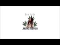REVUS X JKING Stir It Up mp3