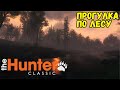 Прогулка по лесу, изучение окрестностей. | The hunter сlassic