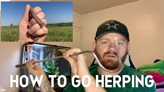 How To Go Herping Techniques I Use To Find Snakes