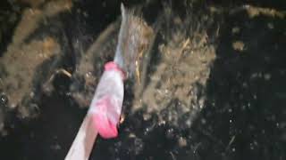 Новый проект. Склад из свинарника. Серия 1. Демонтаж конструкций.