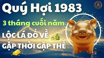 🐖 Đúng 3 Tháng Cuối Năm Ất Tỵ 2025 Quý Hợi 1983 Gặp Thời Gặp Thế, Lộc Lá Đổ Về Làm Gì Cũng Thu Tiền