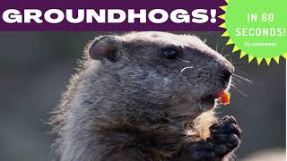 Groundhogs in 60 seconds | FUN videos about groundhogs for kindergarten & early school age! *2023*