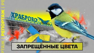 В России запрещают всё желто-синее