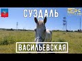 4К Прогулка по Суздалю АСМР / Васильевская улица / city walk / guide to suzdal/ ASMR