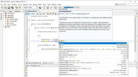 How to get Java System Properties in Java Application using Java JDK and Apache NetBeans