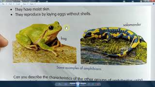 Science 4th grade still about identification key