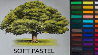 MAKING TREE (SOFT PASTEL) DRAWING screenshot 1