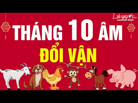 Video: Tử Vi Tổ Hợp: Hợi-Nhân Mã