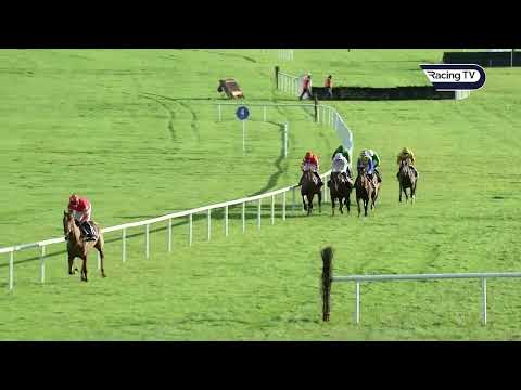 BLOOD DESTINY enhances his Triumph Hurdle claims with runaway win - Racing TV
