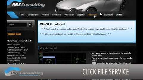 Tutorial File Service @ BCConsulting