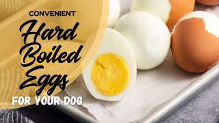 Boiled Eggs for Your Dog’s Meal or Treat #homemadedogfood #doghealth #dogfood Can Dogs Eat Hard Boiled Eggs