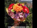 Florería Flores de Oaxaca Divertido ®