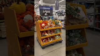 IMG 5519