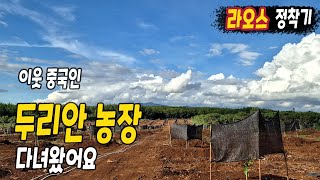 ep437 I visited a durian farm in my neighborhood.
