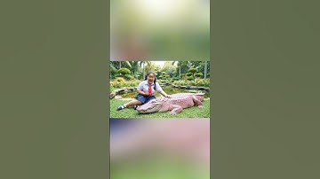 Capybara thi cá sấu với bống béo nè #ai #veo3 #trending #funny #capybara #shorts