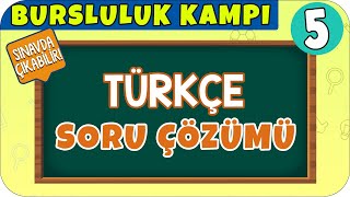 5. Sınıf Türkçe Soru Çözümü Bursluluk Kampı 2021