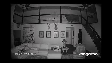 13 Shocking Paranormal Videos #paranormalactivity #ghost #haunted #scary #ghosthunting #spooky