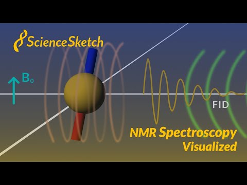 NMR spectroscopy visualized