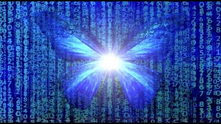 The Matrix Simulation 1 / The Source