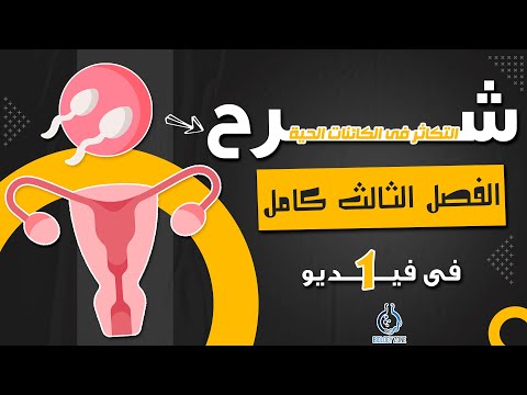 شرح فصل التكاثر فى الكائنات الحيه كامل فى فيديو واحد احياء تالته ثانوى 2023 إيمان حسن