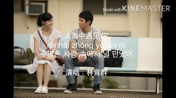 [그 시절 우리가 좋아했던 소녀OST] 人海中遇见你(가사,병음,한글자막) 林育群