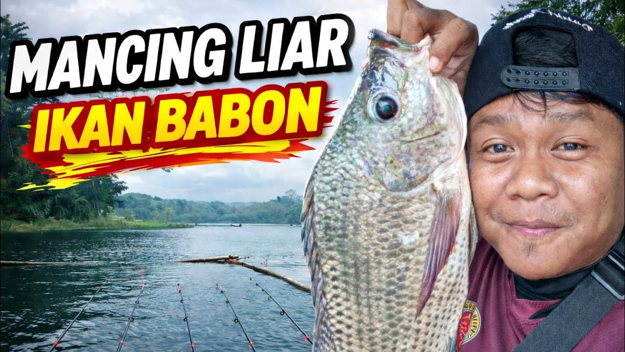 Mancing terbaru Jatiluhur ‼️ giliran naik bandot tapi kamera mati part31
