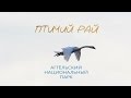 Аггельский национальный парк - Птичий рай | Film Studio Aves