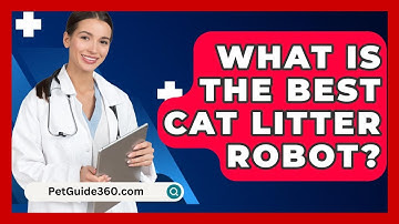 What Is The Best Cat Litter Robot? - PetGuide360.com