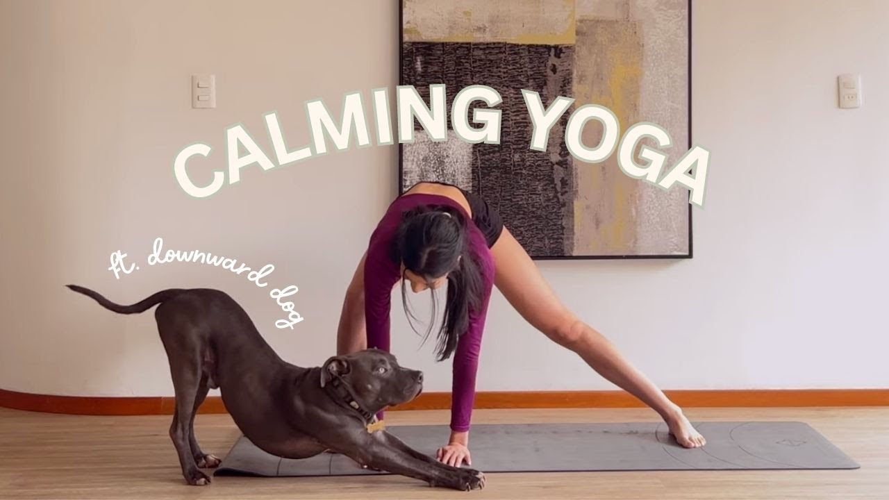 25 minutes of calming yoga 🧘🏻‍♀️ (no talking - follow along)