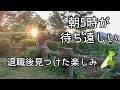 【60代の暮らし】朝が変わった!早朝5時にサロペットで出かける理由と退職後の小さな幸せ
