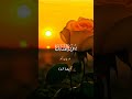 Surah Al Maidah Al Quran Quranictranslation Religioustext Onlinequran Surah Al Maidah Al Quran Quranictranslation Religioustext Onlinequran